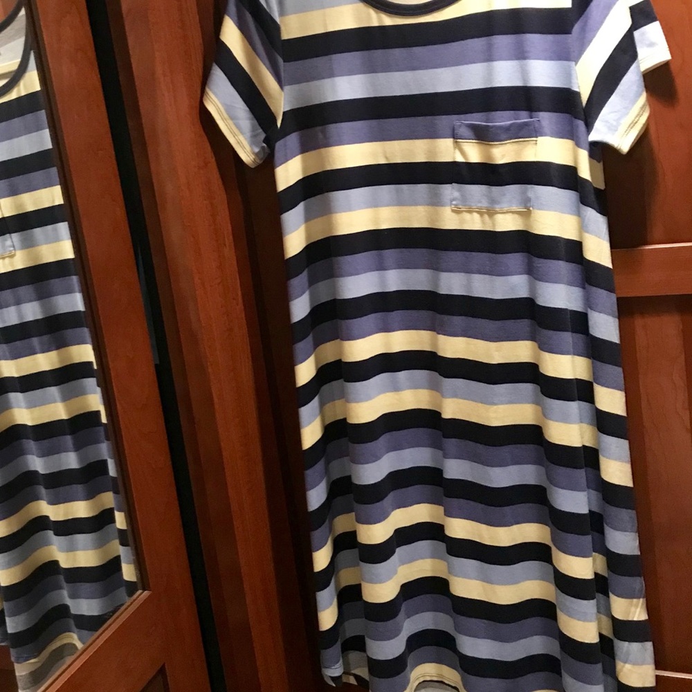 LuLaRoe Carley + LuLaRoe Joy